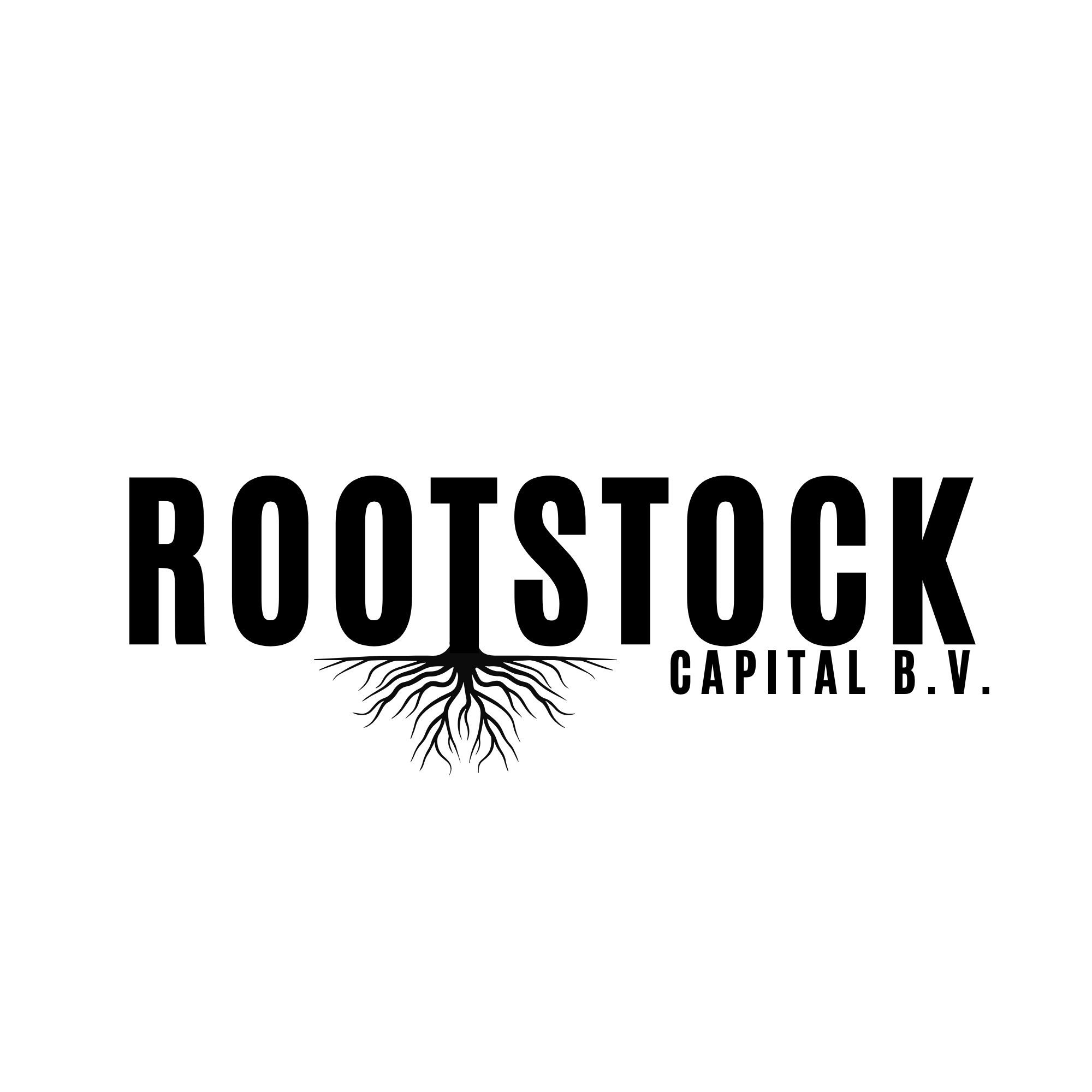 Rootstock Capital B.V.